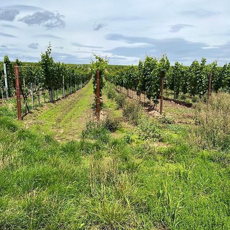 Ferienwohnung Landleben Fuer 2-3 Personen Edesheim Esterno foto